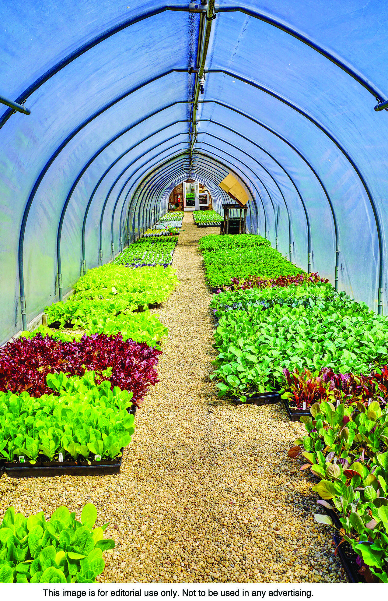 Greenhouses are among the resources used to help plants thrive.