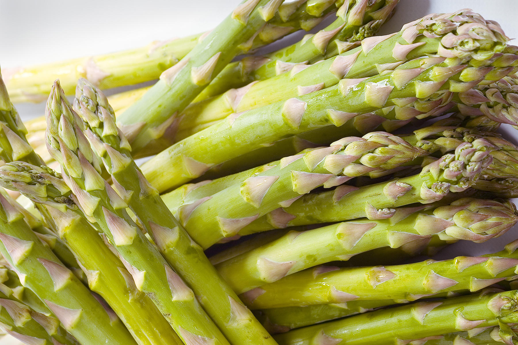 Asparagus in MN