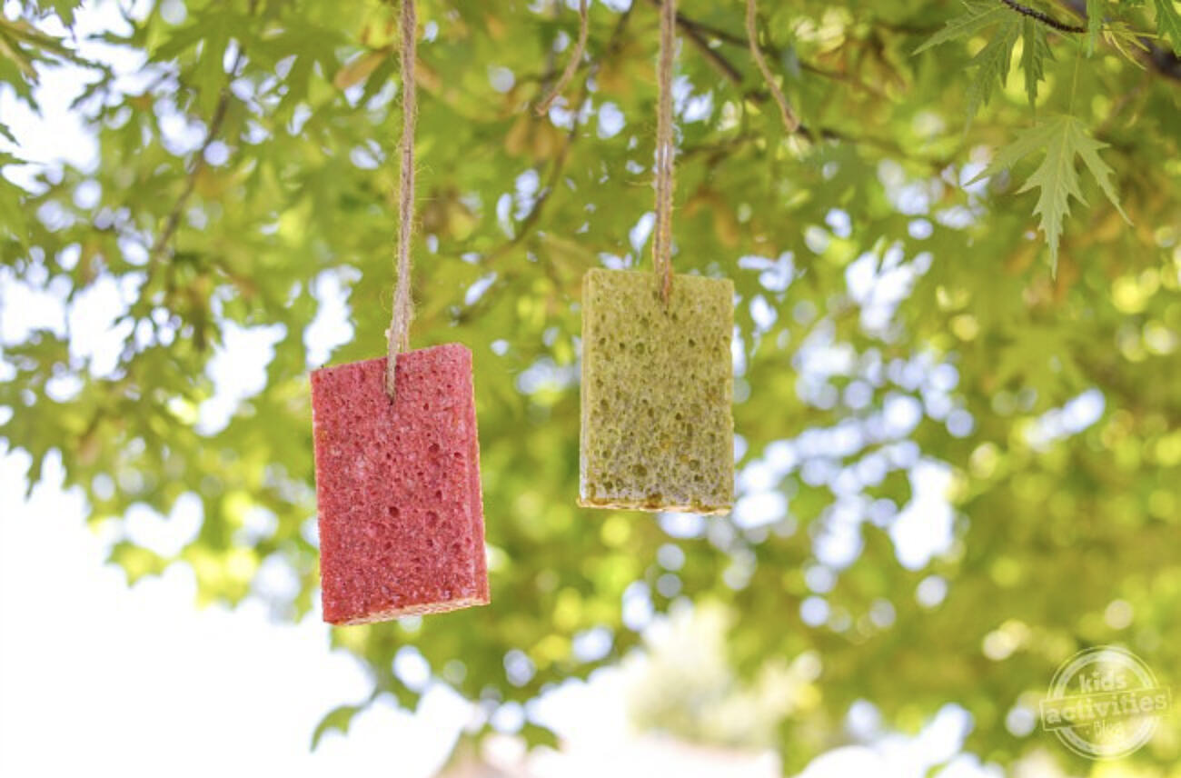 EASY HOMEMADE BUTTERFLY FEEDER & BUTTERFLY FOOD RECIPE