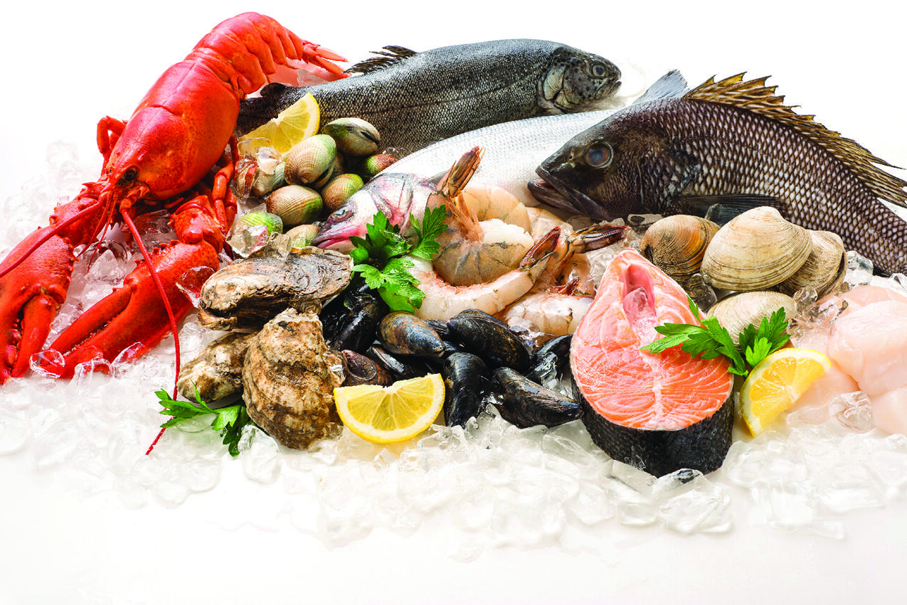 Another worthy quality of seafood is its nutritional value, which is perhaps more significant than even the most devoted fish and shellfish lovers recognize.