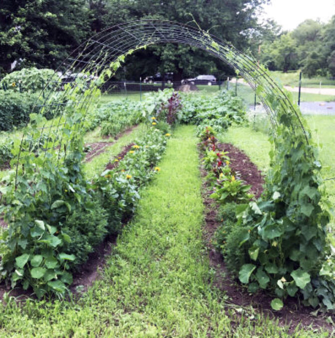 Many gardeners have land that they may not be using, or that could be used differently. Learn how you can facilitate land access for beginning farmers and folks who have limited space to garden.