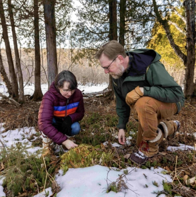 Extension developed a list of native trees expected to thrive 50 -100 years from now; volunteers journal observations to offer clues for how species might fare north of current growing zones.