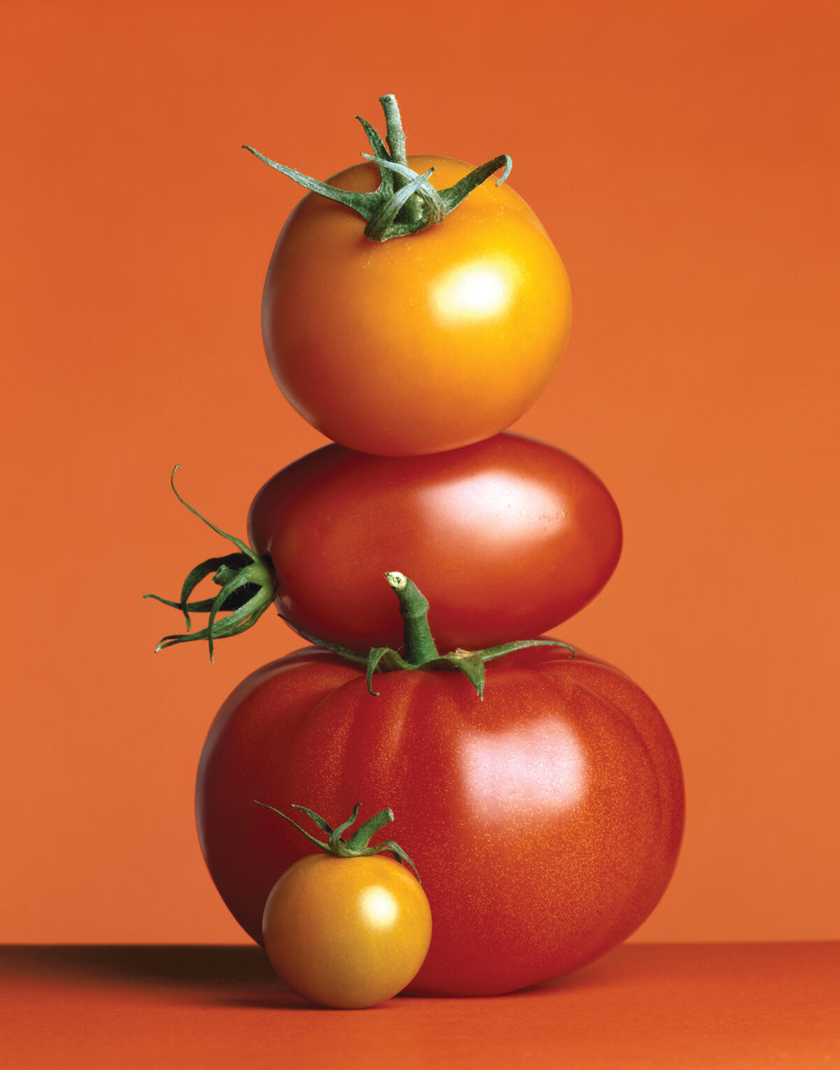 There are thousands of varieties of tomato.