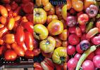 Recipes for a bumper crop of tomatoes this year!