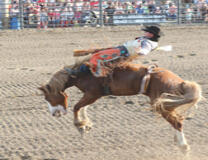 A record number of contestants will be here for the 70th annual Buffalo PRCA Championship Rodeo.