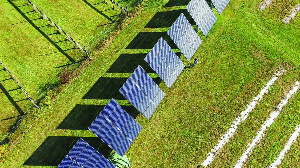 Green farming utilizes different technology and practices in order to decrease detrimental impact on the environment.