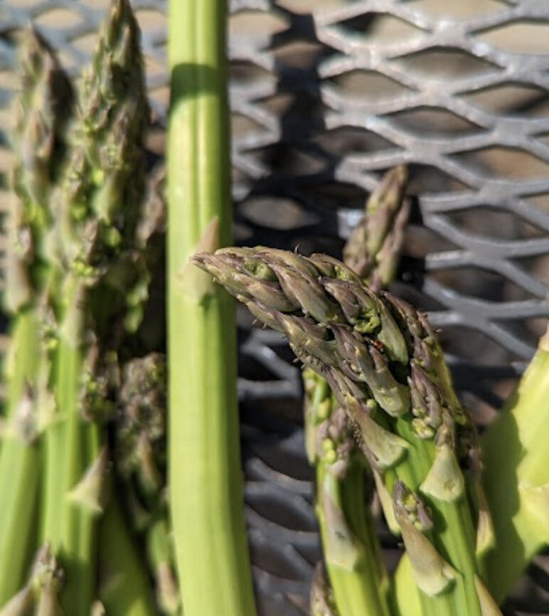 This was a rough week. Many of you sustained damage to your farms, including damage to high tunnels and other infrastructure, as well as damaged trees.
