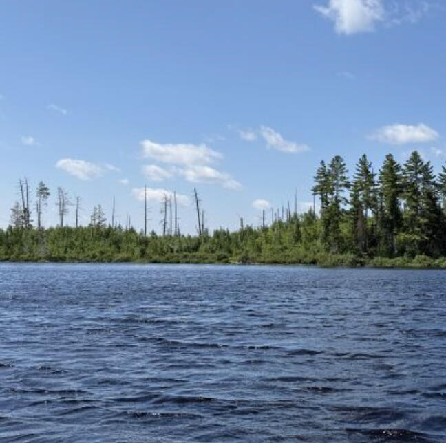 Learn 10 practical ways to stay safe, manage stress and support others during wildfires in and near the Boundary Waters.