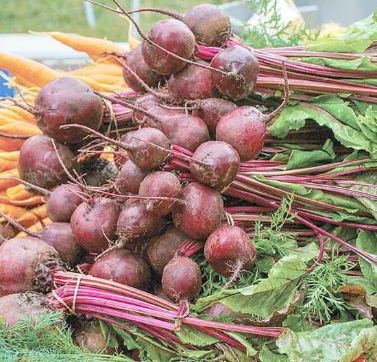 Pickled Beets