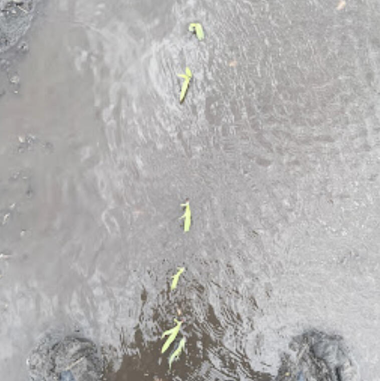 We've developed a new webpage for growers to learn about projected climate changes in Minnesota, and strategies for resilience that are specific to Minnesota, and to vegetable farming.