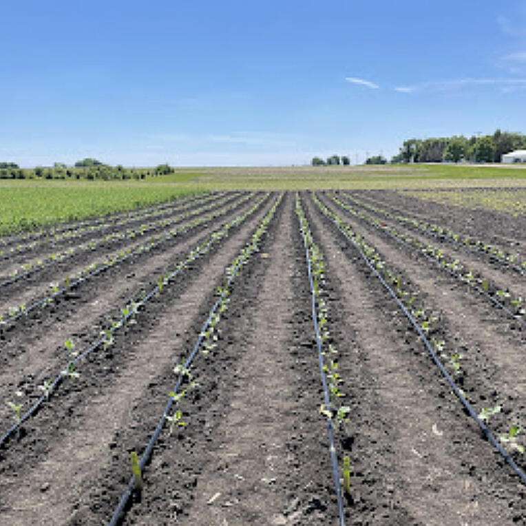 Following the extreme drought conditions last summer, many growers are reconsidering their irrigation infrastructure.