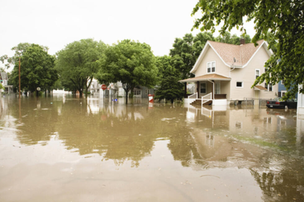 Extension offers information and resources to help prepare for and recover from the effects of extreme weather.