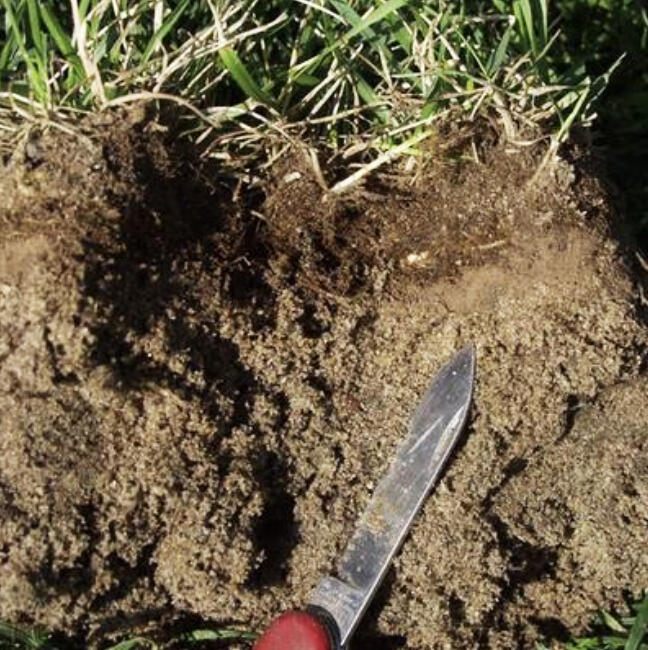 Fall is the best time for almost everything you’ve been waiting to do for your lawn, so consider all your options and get them on your home calendar.