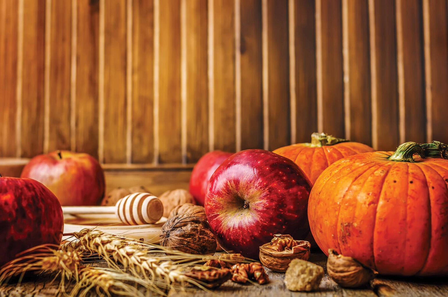 Find an exciting new fall flavorful recipe.