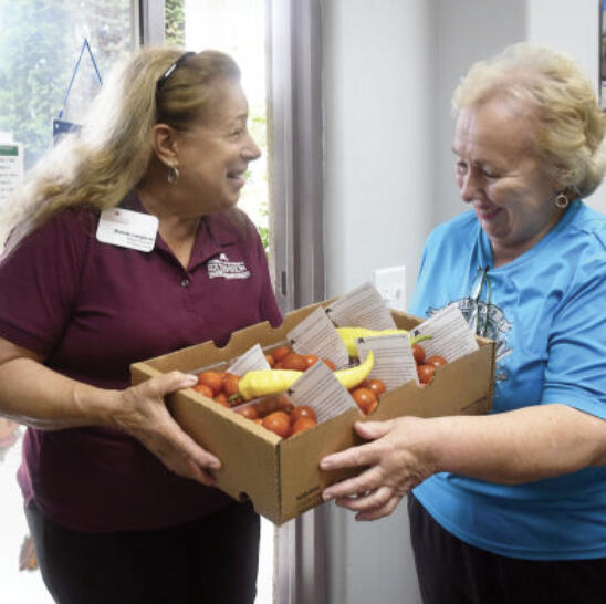 Taking action on food security, Master Gardener volunteers like Brenda Langerud donated 63,372 pounds of produce to food shelves in 2025 — and 2026 numbers are coming in strong.