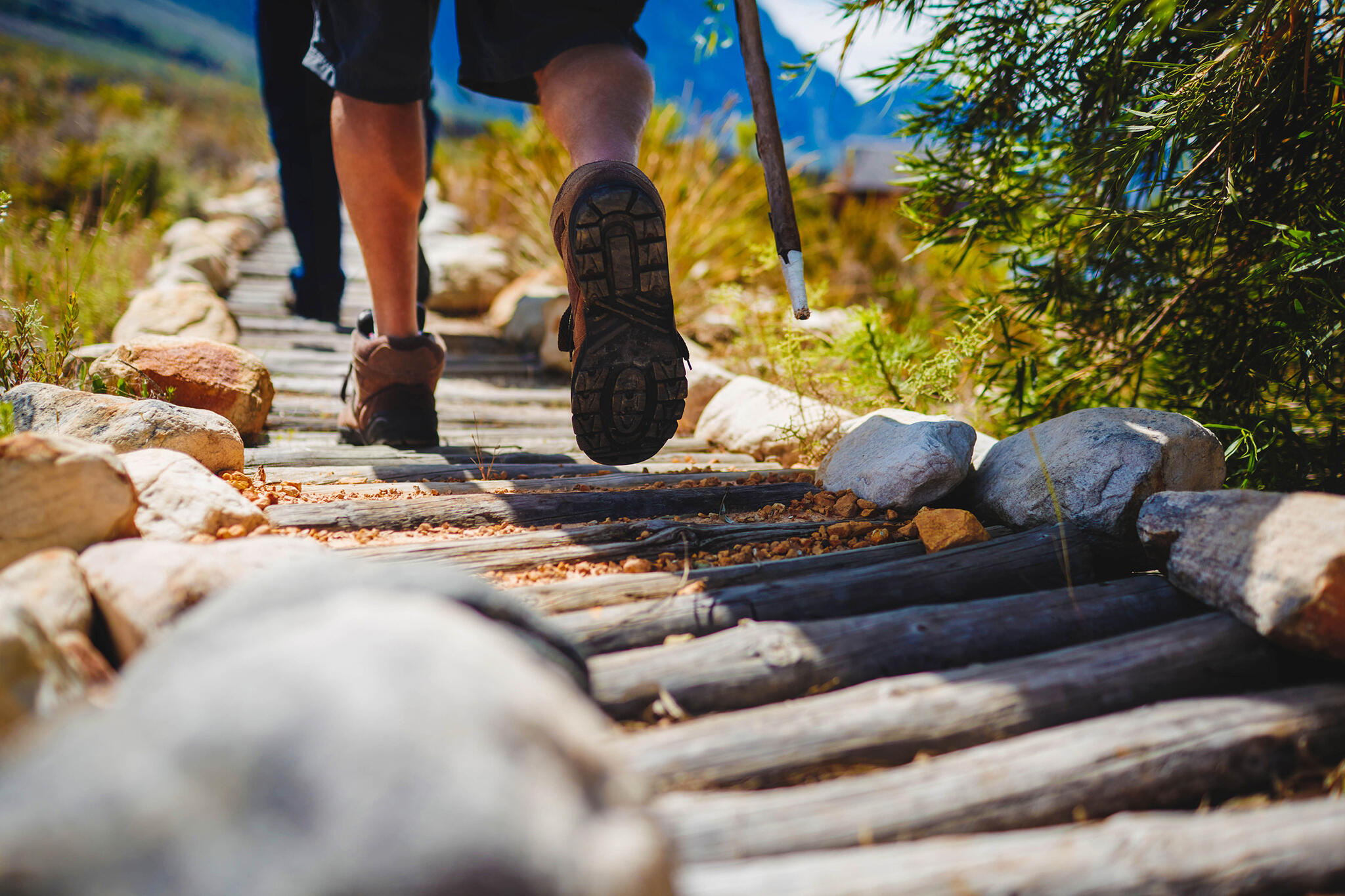 The concept of the Leave No Trace program is comprised of seven principles. These can serve as a starting off point of reference when taking part in outdoor activities.