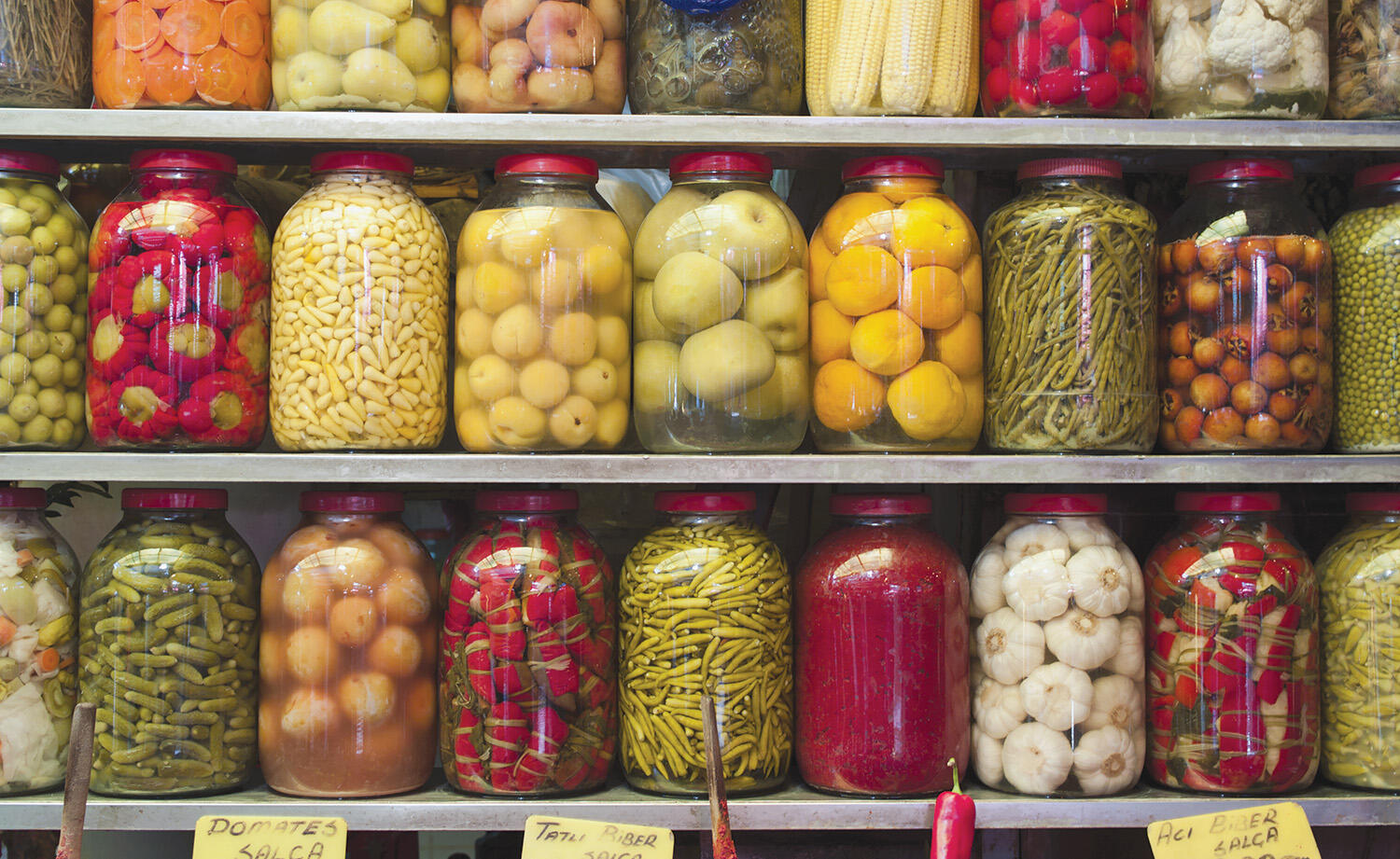 The fall harvest is upon us and now it's time to preserve all those goodies. Try some of these recipes. Enjoy!