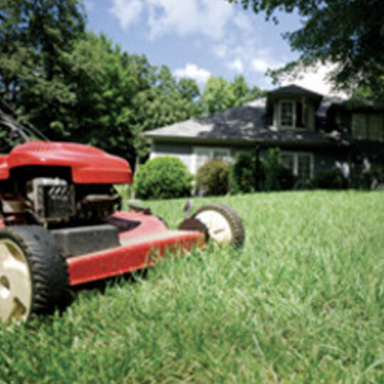 Find out when is the best time to sod, seed and water your lawn.