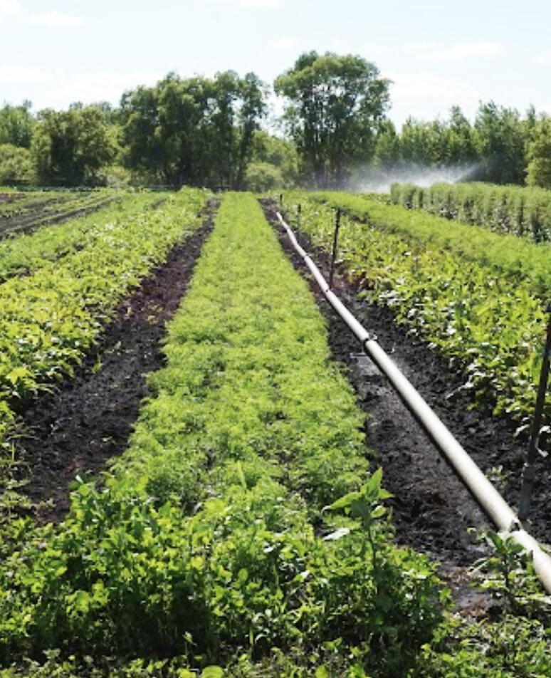 The Minnesota Department of Agriculture and Minnesota Farmers Union are hosting two outreach events about grants and loans for your farm.