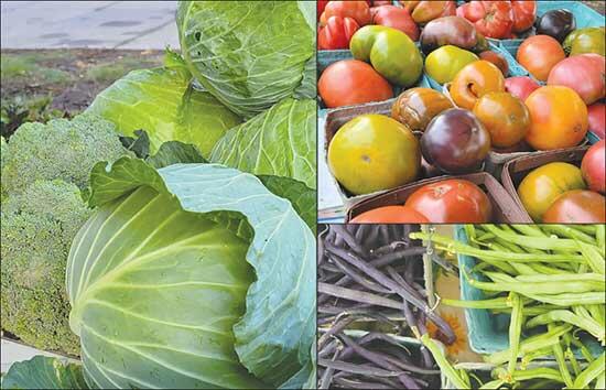 A variety of produce is now ready for harvest.