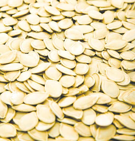 Pumpkin Seeds