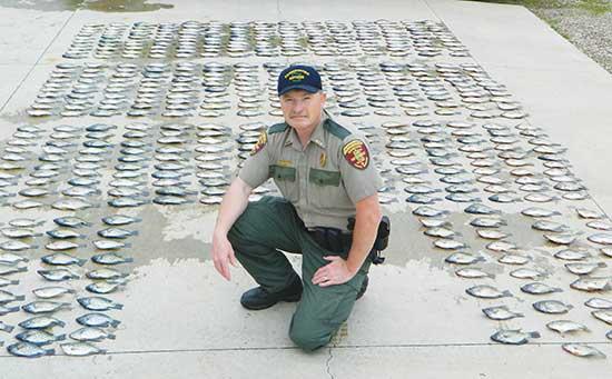 Officer Rick Reller has devoted his career to conserving Minnesota’s natural resources. On the left, Reller sits amidst a gross over-limit catch of 530 crappies from an incident at Beebe Lake.