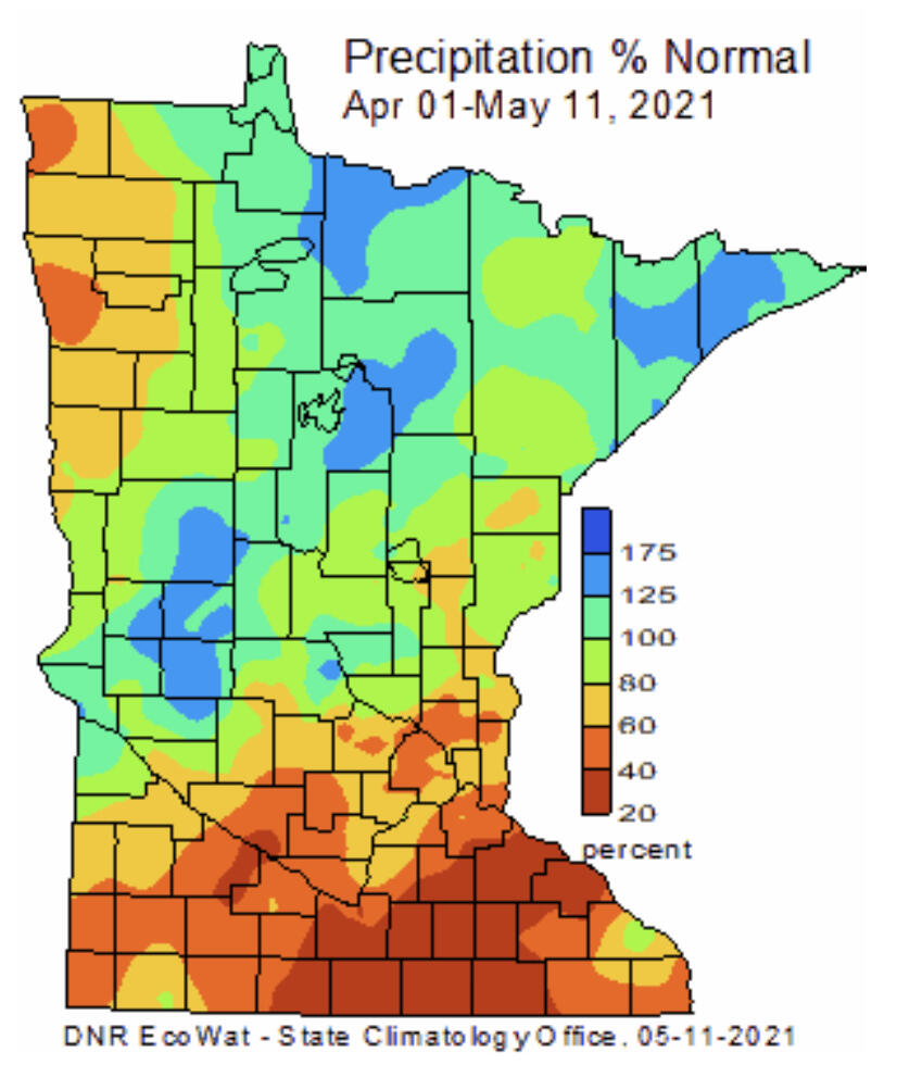 Summer is here, and so begin weekly vegetable updates. In this series I'll provide an overview of things we're seeing in the field, a crop report, and issues to anticipate in the coming week.