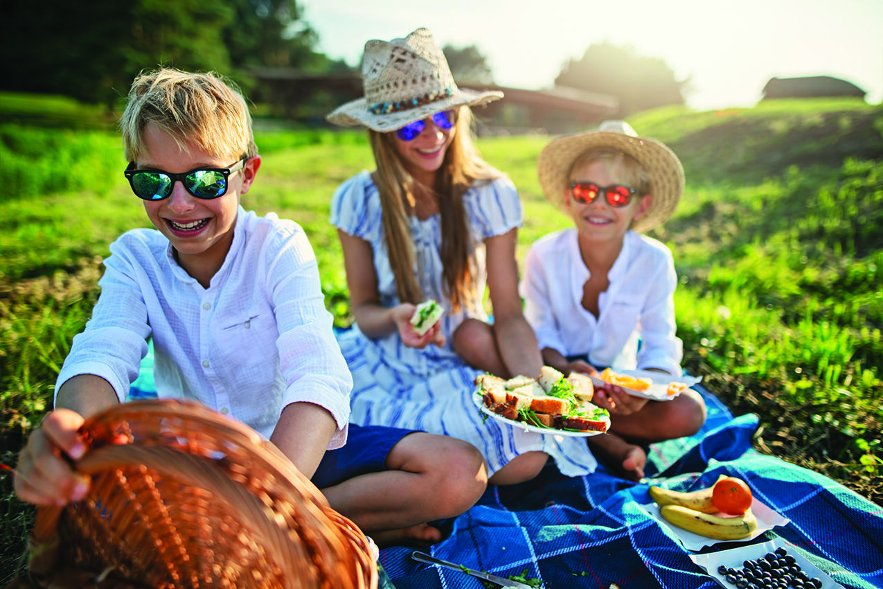 The following are some essential components of a fun picnic.