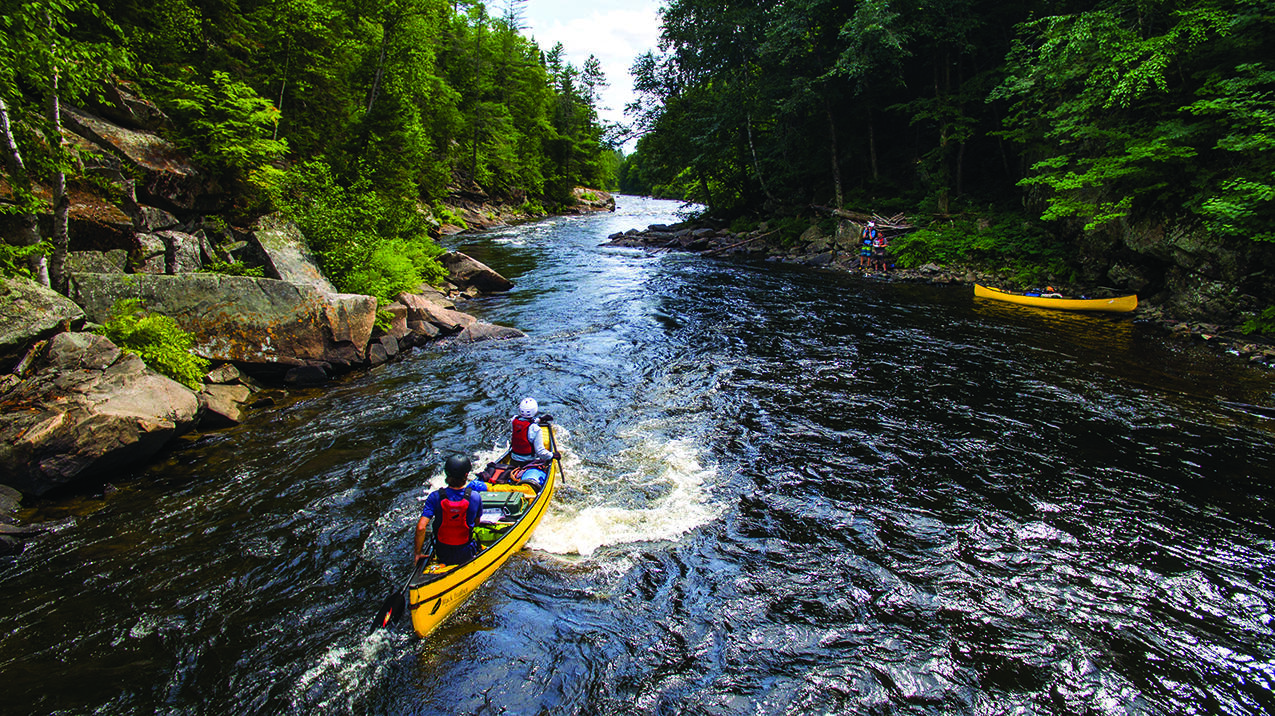 Here is how to plan a summer adventure right in your own neighborhood.