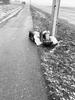 Once the snow melts, trash is revealed.